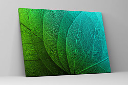 Obraz Štruktúra listu 1897